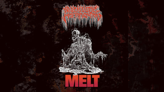 Narcissistic Mortification's new single MELT is out now!